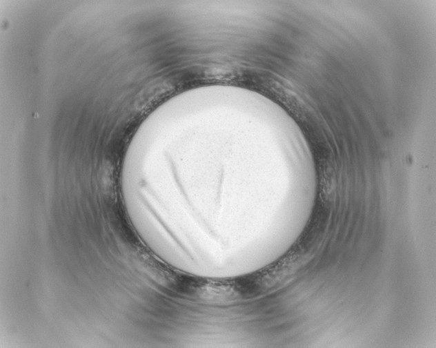 X0000088580270200706221323