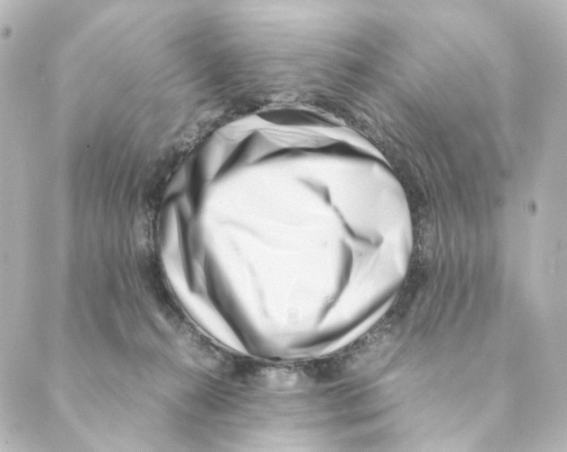 X0000088580272200706221323