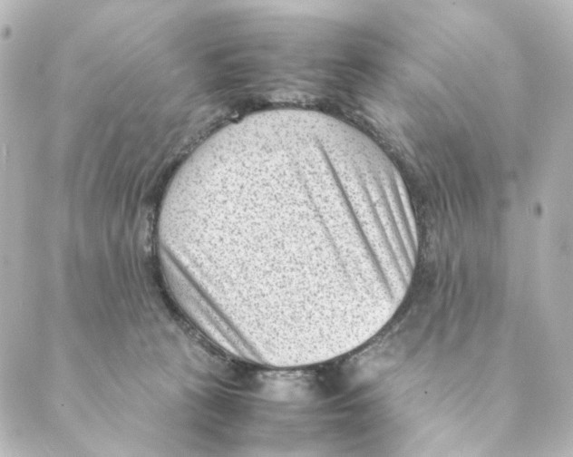 X0000088580273200706221323