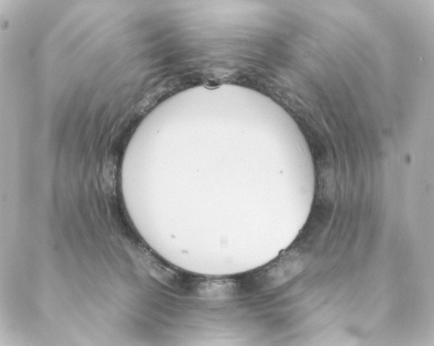 X0000088580274200706221323