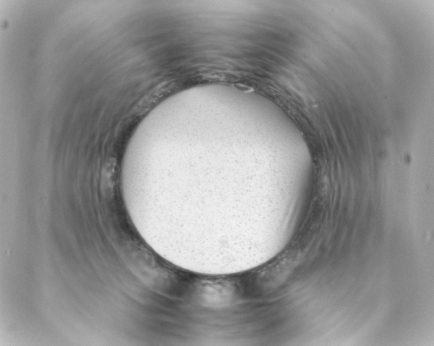 X0000088580275200706221324