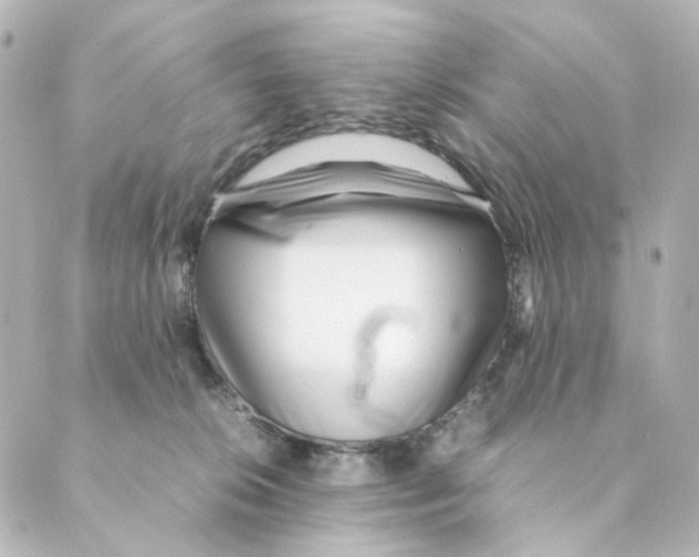 X0000088580276200706221324