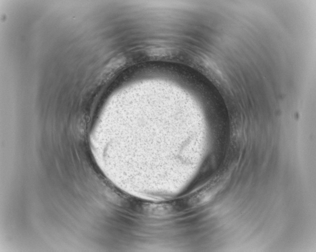 X0000088580277200706221324