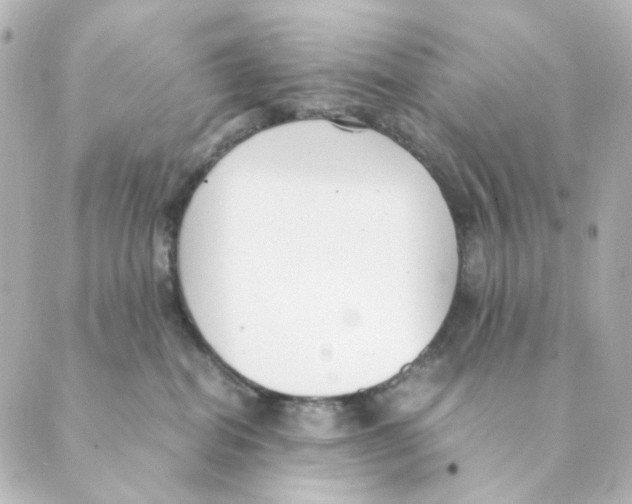 X0000088580282200706221324