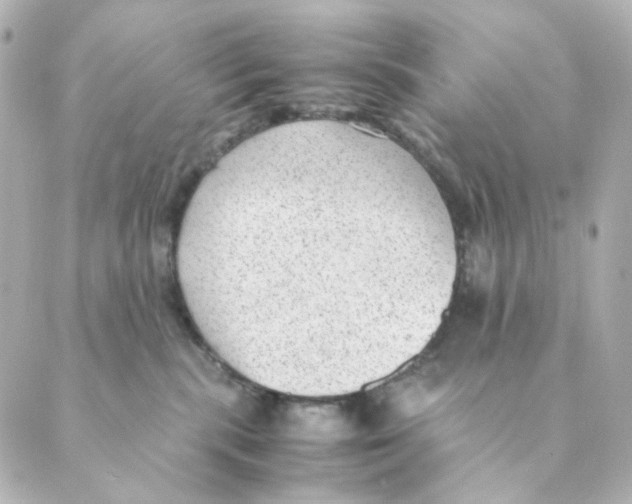 X0000088580283200706221324