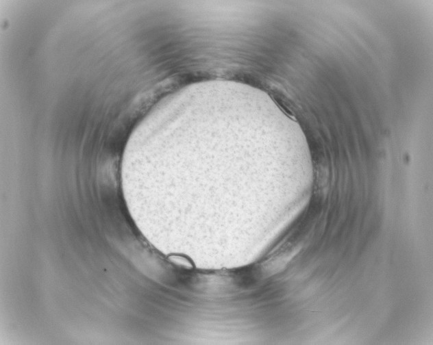 X0000088580286200706221324