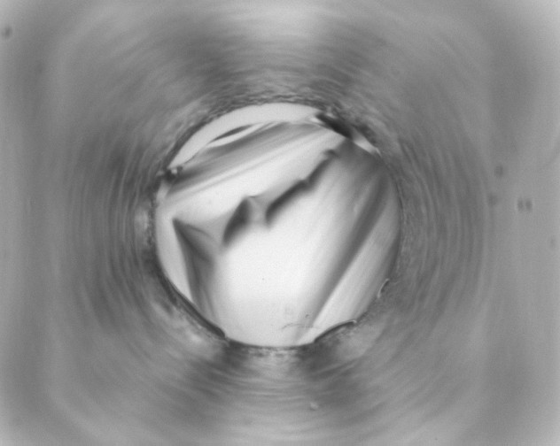 X0000088580288200706221324