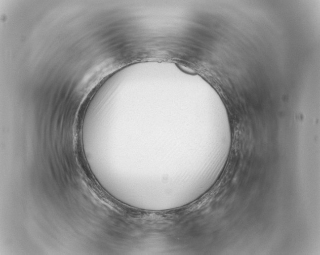 X0000088580290200706221323