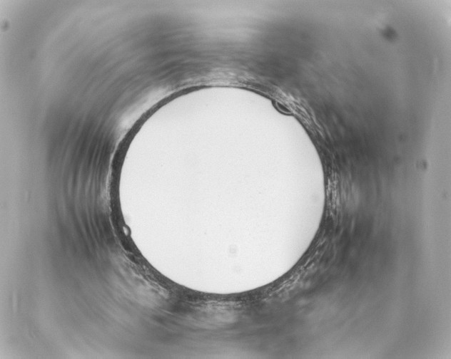 X0000088580292200706221323