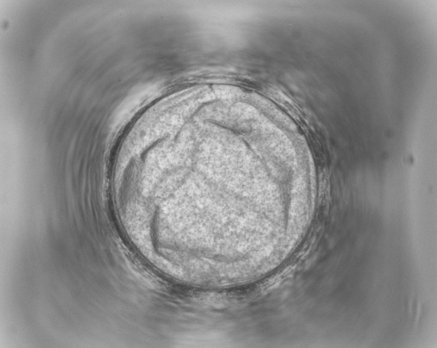 X0000088580293200706221323