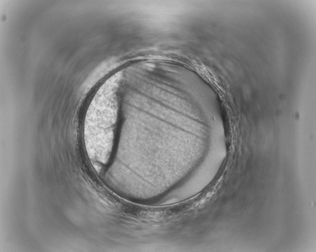 X0000088580295200706221323