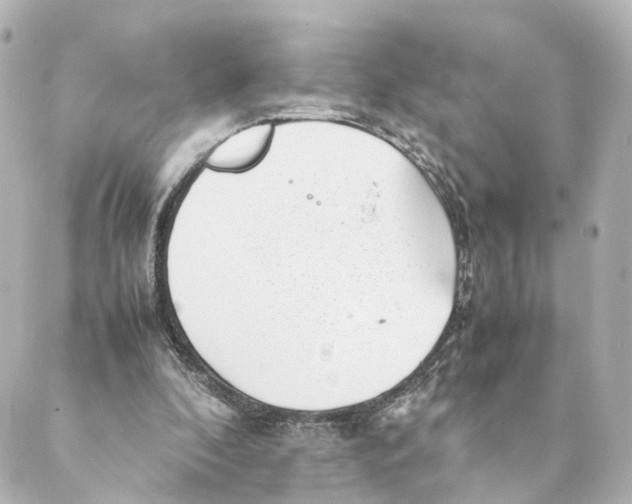 X0000088580296200706221323