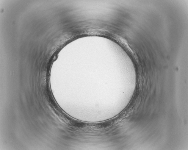 X0000088580299200706221323