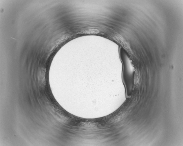 X0000088580300200706221323