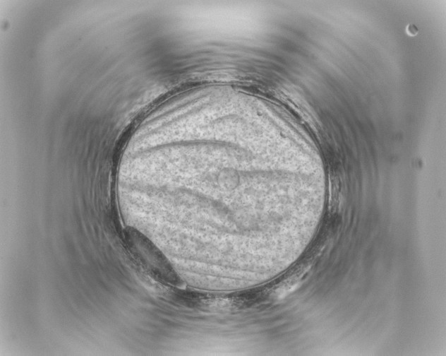 X0000088580301200706221323