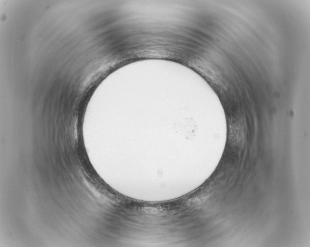 X0000088580302200706221323