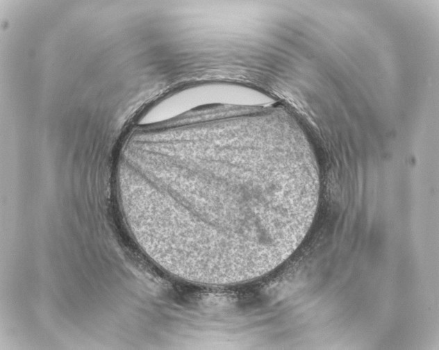 X0000088580303200706221323