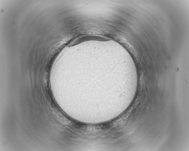 X0000088580305200706221323