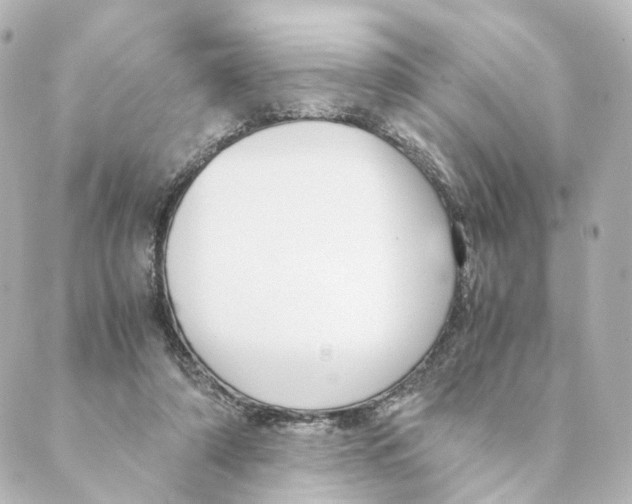 X0000088580306200706221323