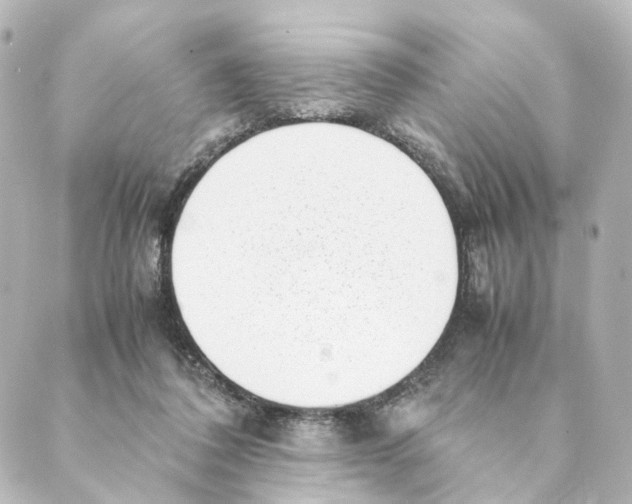 X0000088580308200706221323