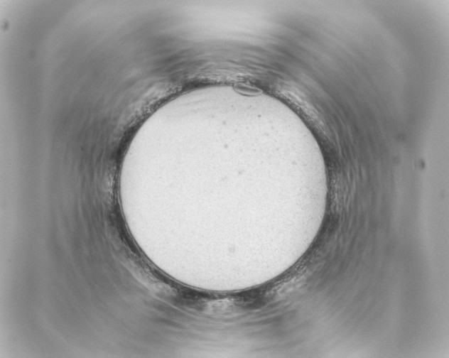 X0000088580309200706221323