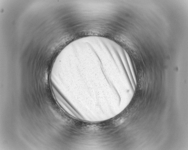 X0000088580310200706221323