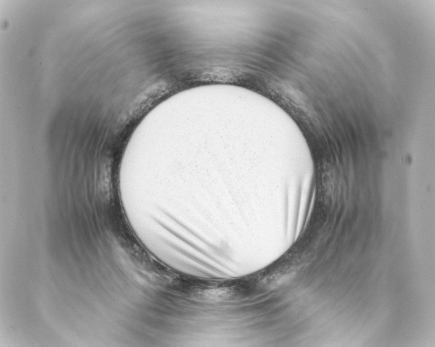 X0000088580312200706221323