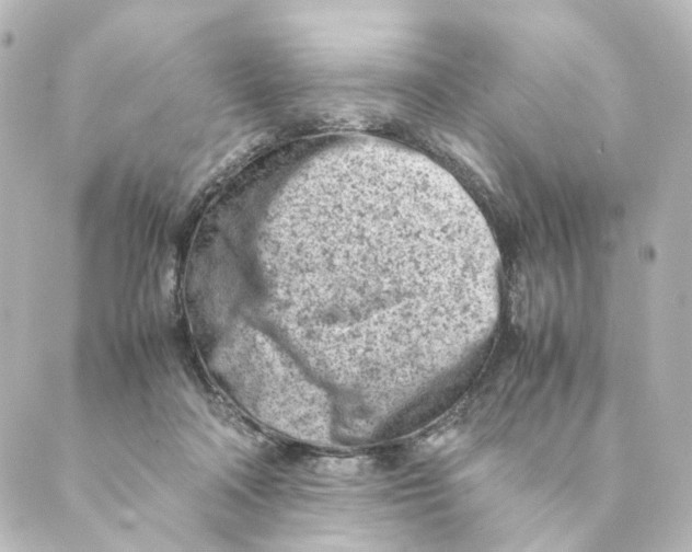 X0000088580314200706221323