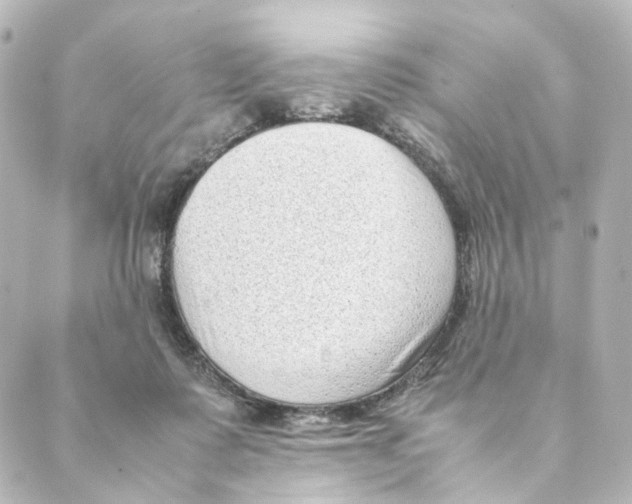 X0000088580315200706221323