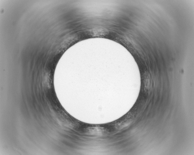 X0000088580316200706221323