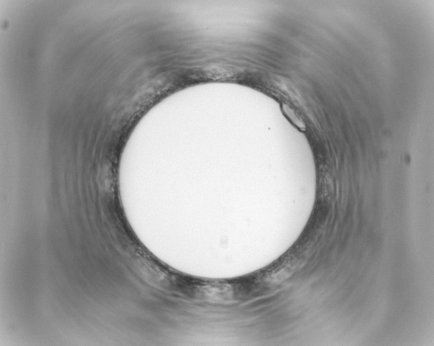 X0000088580317200706221322