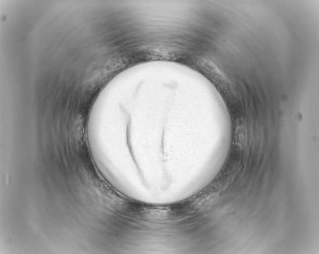 X0000088580318200706221322