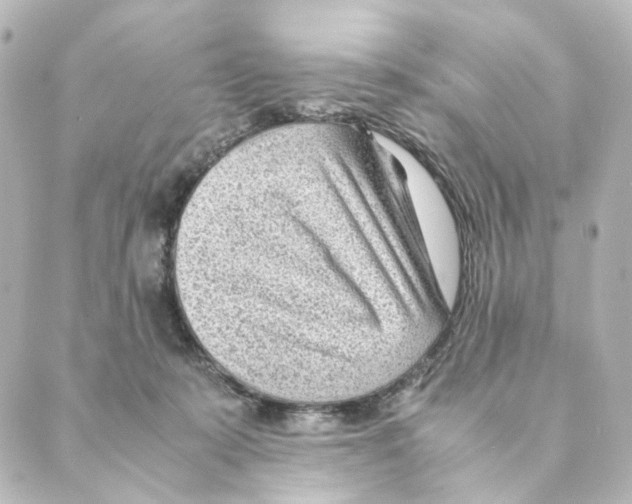 X0000088580319200706221322