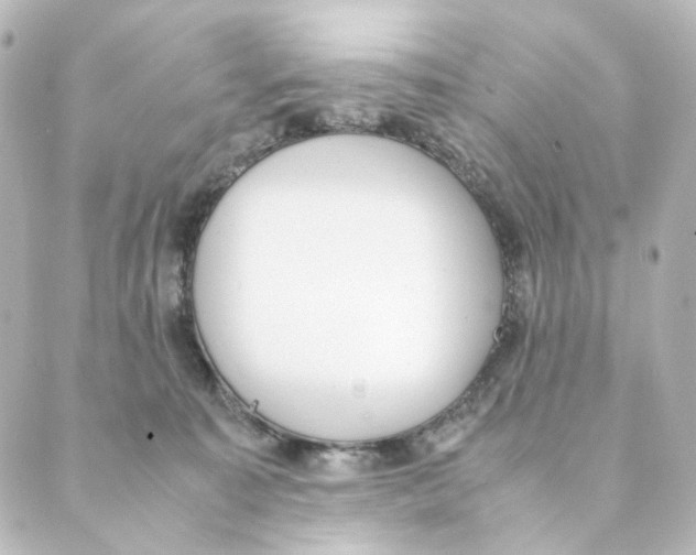 X0000088580323200706221322