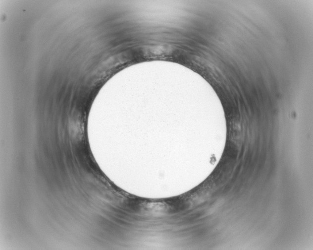 X0000088580324200706221322