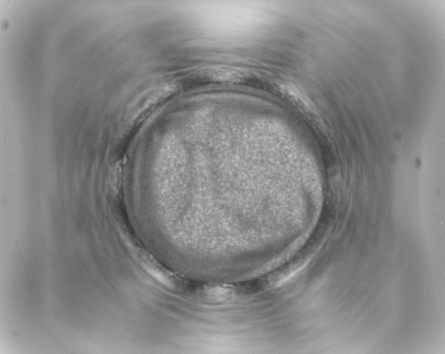 X0000088580325200706221322