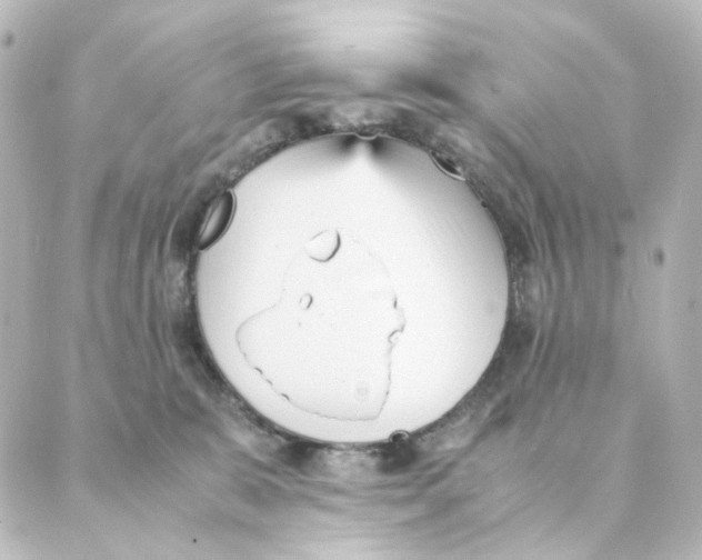 X0000088580327200706221322