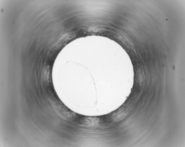 X0000088580328200706221322