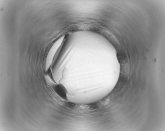 X0000088580329200706221322