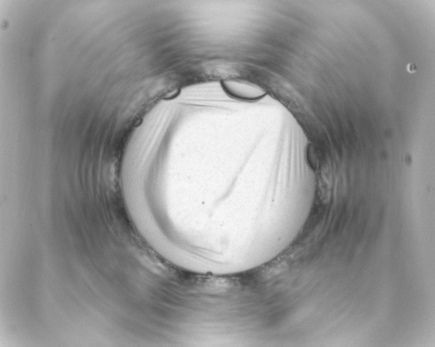 X0000088580330200706221322