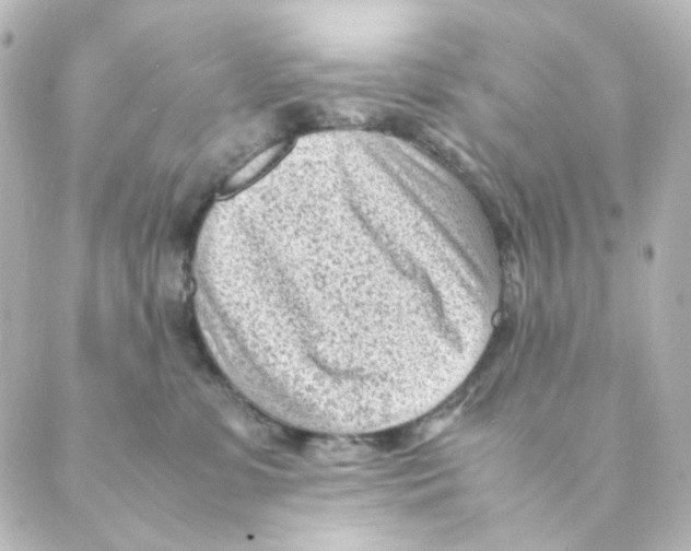 X0000088580331200706221322