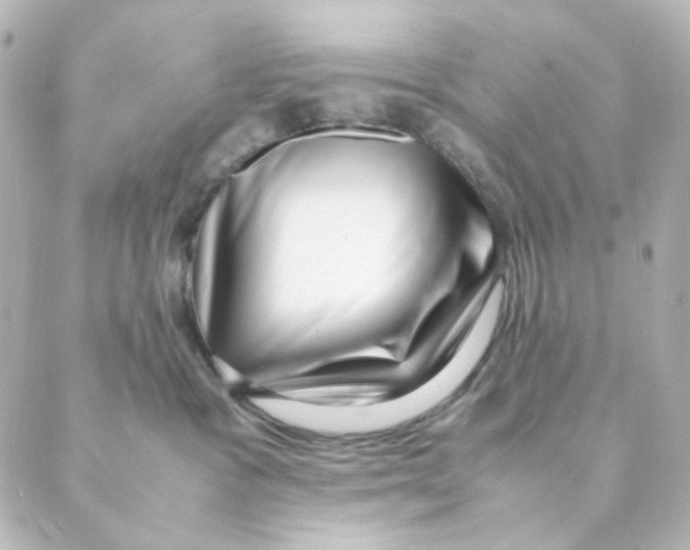 X0000088580333200706221322