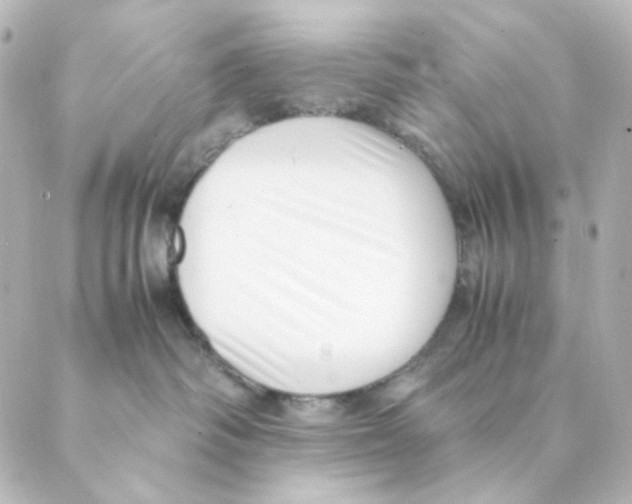 X0000088580334200706221322