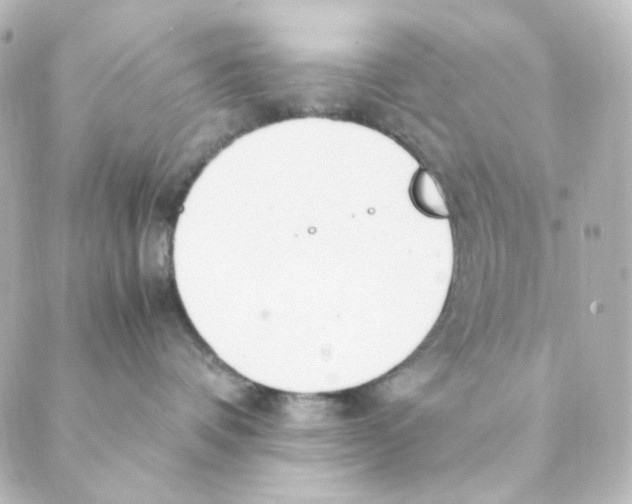 X0000088580336200706221322