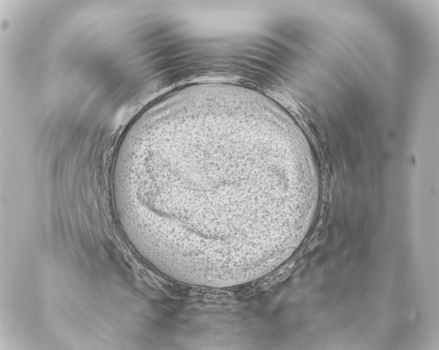 X0000088580337200706221321