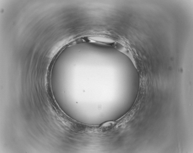 X0000088580340200706221321