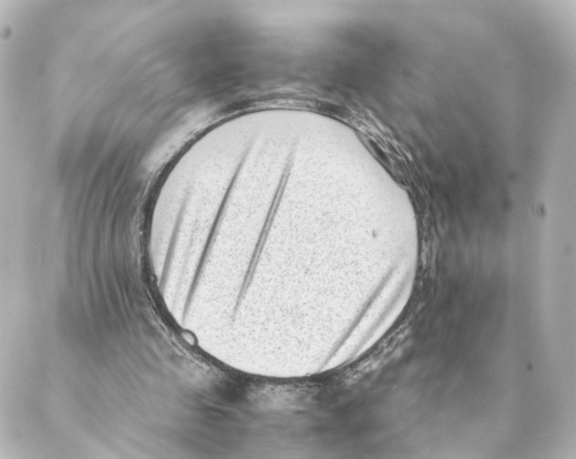 X0000088580341200706221321