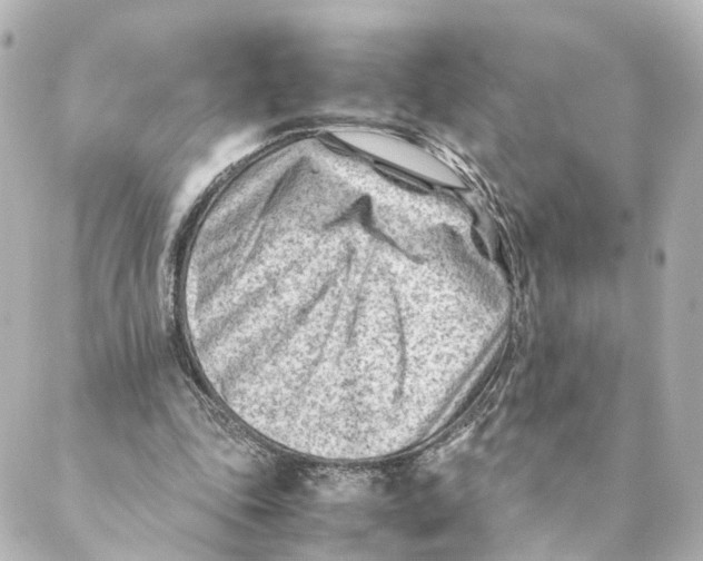 X0000088580343200706221322