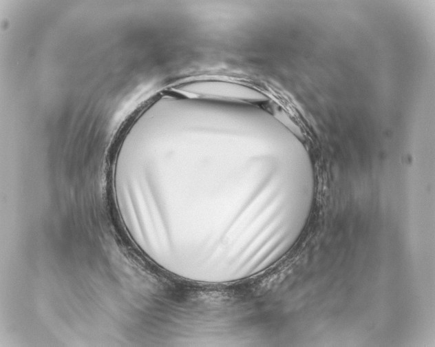 X0000088580344200706221322