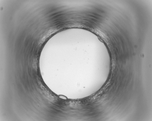 X0000088580345200706221322